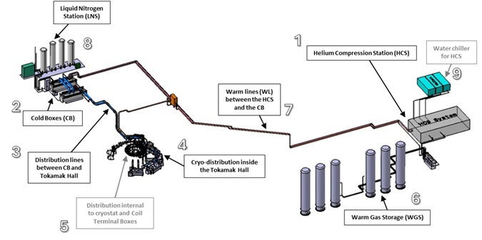 The Cold Heart of Fusion: Inside the DTT Cryogenic System